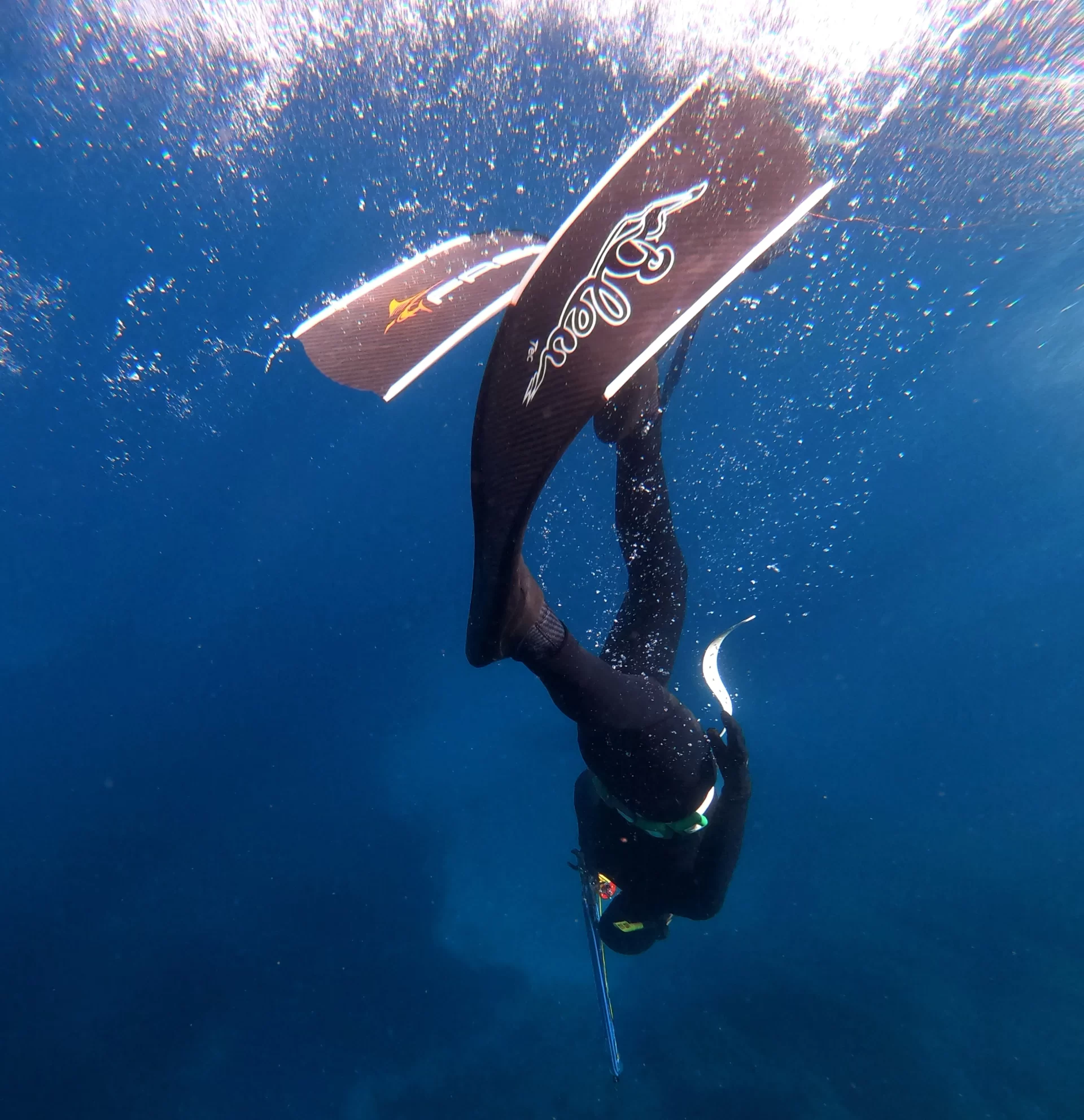 Bleutec blade underwater